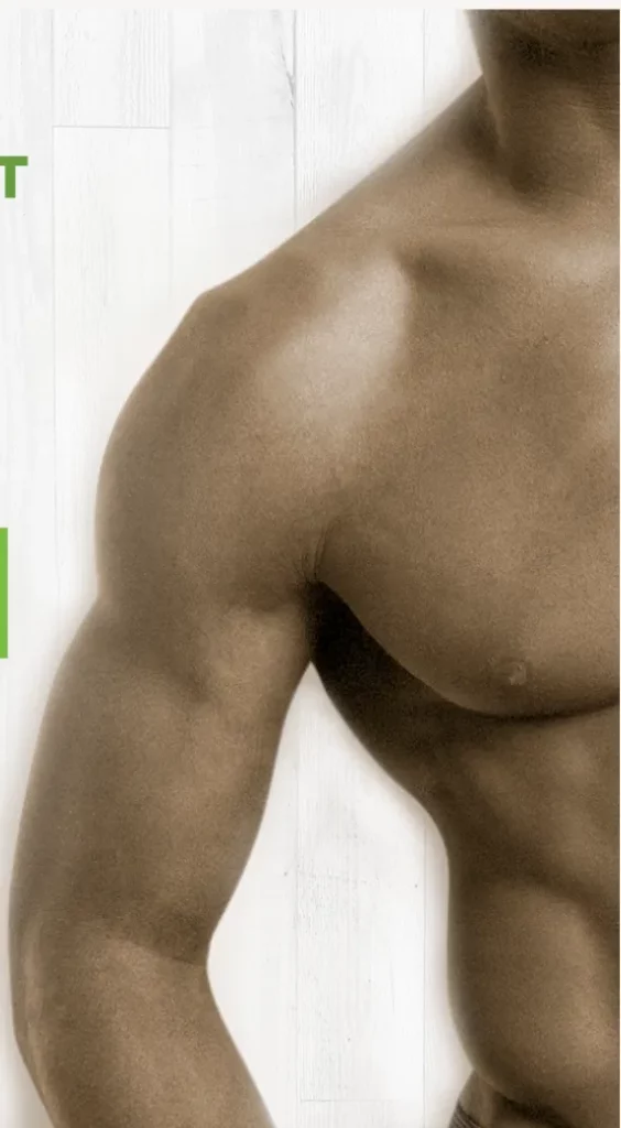 Muscular upper body and arm definition