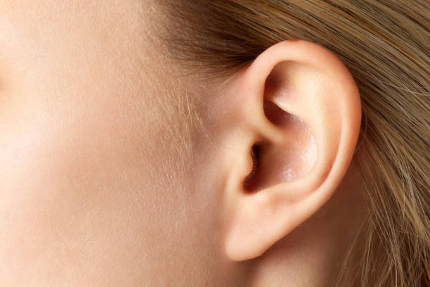 Close-up of a human ear with blond hair.
