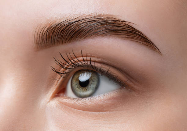 Close-up of a woman's eye with eyebrow